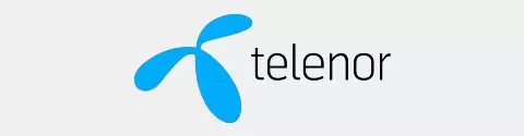 Telenor logo