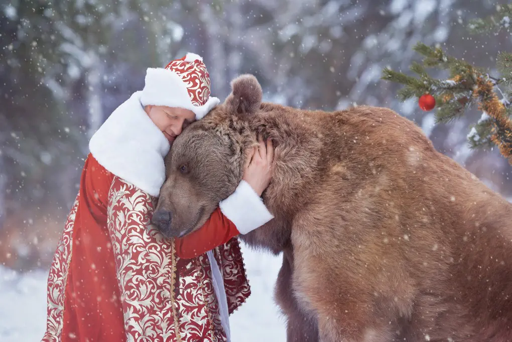 man-wishes-bear-merry-christmas-and-a-happy-new-year_t20_2wk7gJ