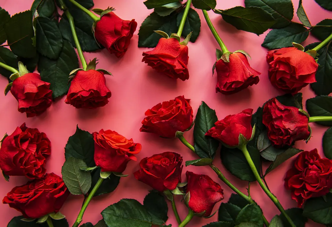 imgonline-com-ua-resize-DSZHJwrIZ7