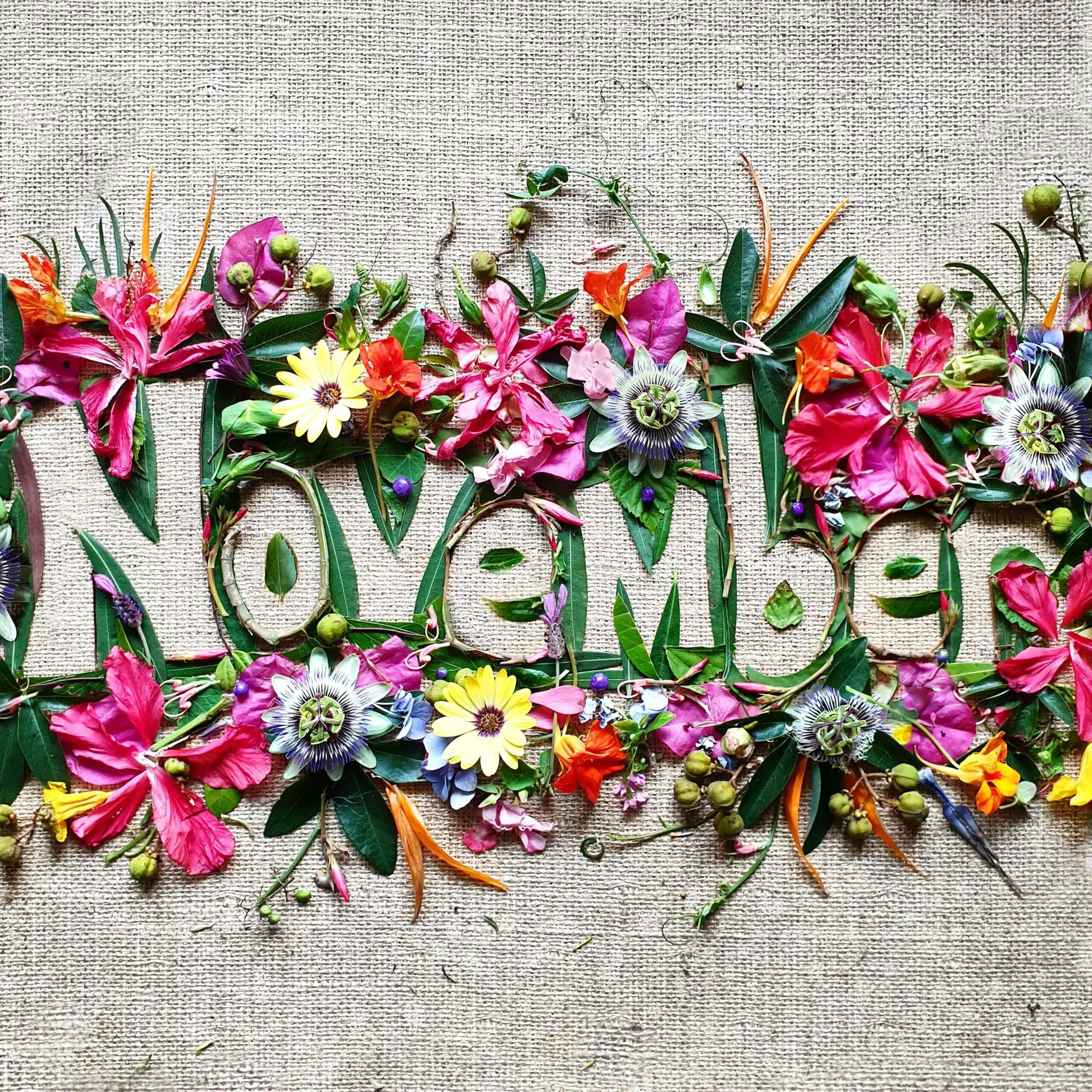 november-creative-text-made-with-flowers-2022-11-09-06-05-57-utc-min